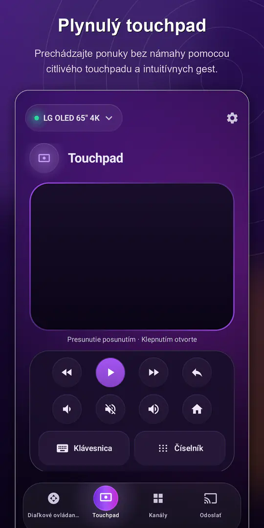 ControlTV: Ovládač Smart TV: snímka obrazovky 2 z 4