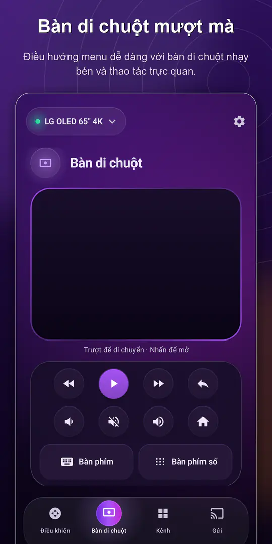 ControlTV: Điều khiển Smart TV: ảnh chụp màn hình 2/4